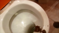 Poop in my toilet and rub pussy 
