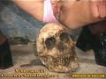 X-Streams Volume 51- Cemetery Skull Duggery Pt.1